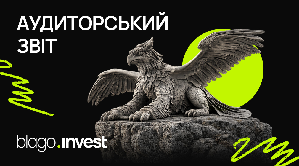 Незалежний аудит за 2025 рік: основні висновки перевірки