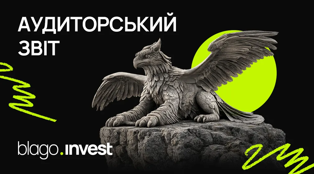 Незалежний аудит за 2025 рік: основні висновки перевірки